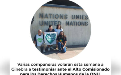Volvemos a la ONU